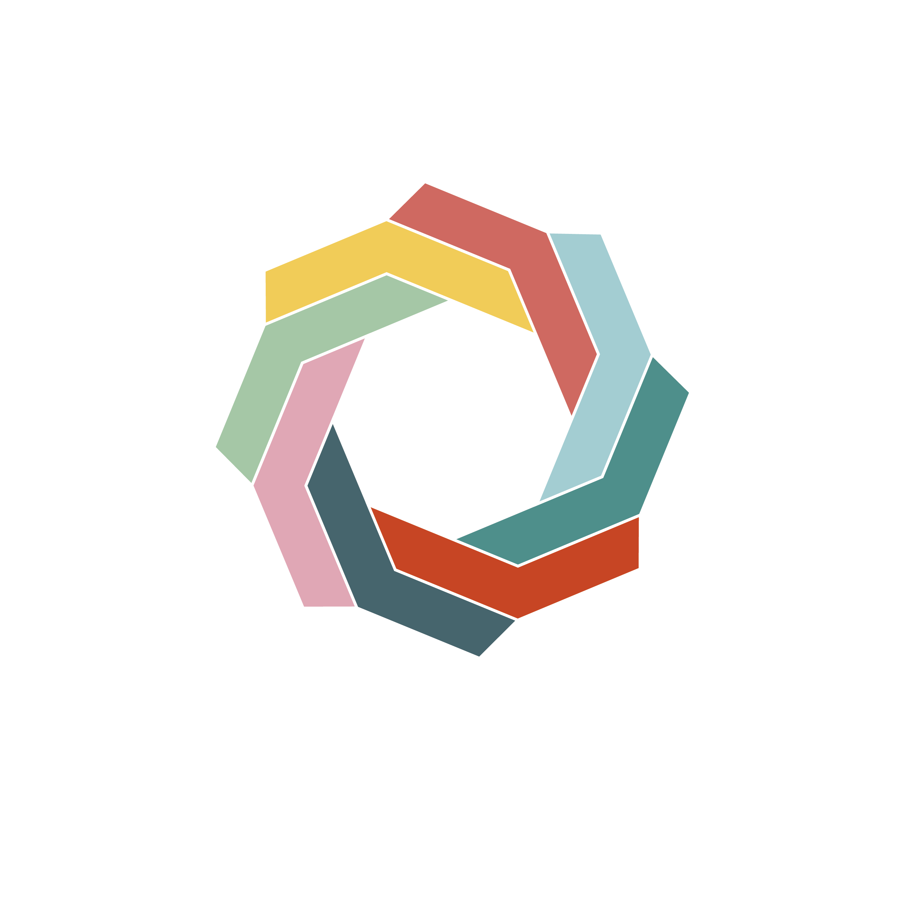 Clcsaaccreditationlogo reversed 01