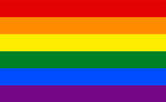 Rainbow Pride Flag copya